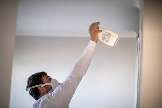 Reliable Sayre, PA Mold Remediation Solutions