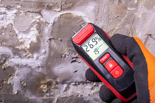 Best Commercial Mold Remediation in Sayre, PA